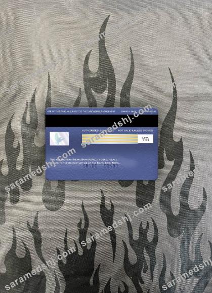 Nepal Bank Nepal visa classic card photolook back
